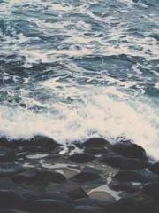 Retired War God Yang