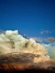 One Night Marriage P