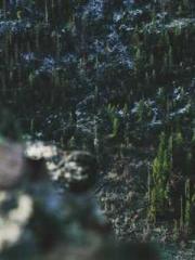 The generalapos;s yo