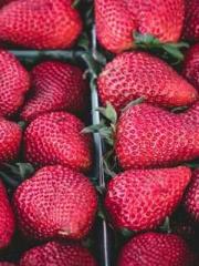 lt;Dragon King Legen