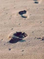 lt;Natural Disasters