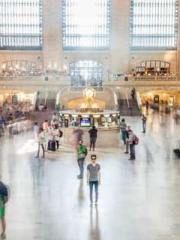 The Wife of My Heart