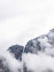 My Amazing Female Te