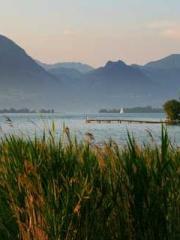 High School Campus S