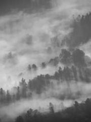 Lu Zongapos;s Hidden