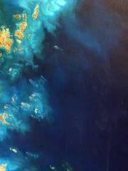 The Hardships of a D