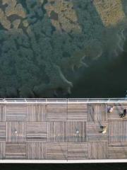 RONG Zhaonan NING Yu