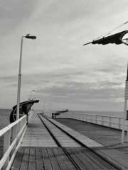 One Night of Indulge