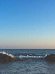 Transmigration: Feel