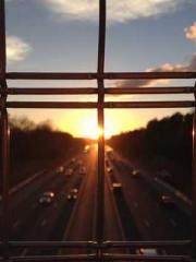 One Night of Indulge