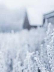 The Realm of the Dao