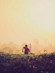 Lu Zongapos;s Hidden