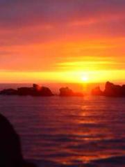 lt;Heavenly Fire Dyn