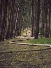 lt;Liang Yimo Cold N