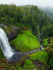 Grave Robbing: Openi