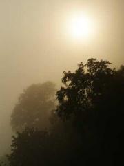 Eternal Sword Ancest