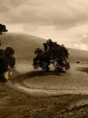 A Wifeapos;s Plea fo