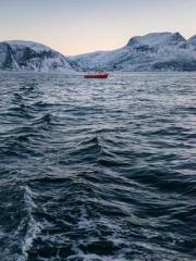 One Pregnancy, Two B