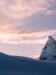 One Pregnancy, Two B