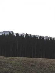 lt;Gingerly, Shen Qi