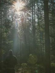 Lin Feng Lin Yun Yao