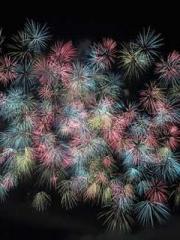 The Rebirth of a Phy