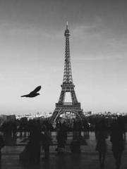 Becoming a Farm Girl