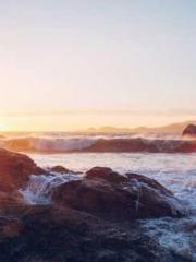 Ling Hao Qin Yuxin R