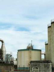 The Favorite Concubi